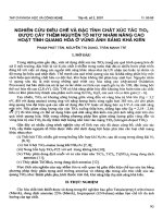 Nghiên cứu điều chế và đặc tính chất xúc tác tio2 được cấy thêm nguyên tố nitơ nhằm nâng cao hoạt tính quang hoà ở vùng ánh sáng khả kiến