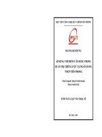 ÁP DỤNG THẺ ĐIỂM CÂN BẰNG TRONG QUẢN TRN CHIẾN LƯỢC TẠI NGÂN HÀNG TMCP TIÊN PHONG