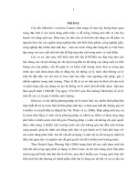 Luận án nghiên cứu tạo chế phẩm vi sinh vật xử lý nước thải chế biến tinh bột sắn 