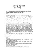 Ôn tập học kì I môn ngữ văn lớp 11