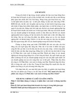 Báo cáo thực tập tại công ty CP đầu tư sản xuất và thương mại đào thịnh 