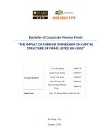 THE IMPACT OF FOREIGN OWNERSHIP ON CAPITAL STRUCTURE OF FIRMS LISTED ON HOSE