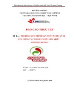 Tìm hiểu quy trình sản xuất nước sá xị của công ty cổ phần nước giải khát chương dương