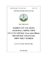 Nghiên cứu tác dụng giảm đau, chống viêm của cây gối hạc ( leea rubra blume họ gối hạc leeaceae) trên thực nghiệm 
