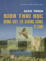 Giáo trình sinh thái học động vật có xương sống ở cạn  lê vũ khôi, hoàng trung thành pdf