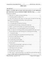 Hoàn thiện kế toán bán hàng và xác định kết quả bán hàng tại công ty TNHH TM DV  XNK KHÁNH PHƯƠNG 