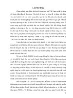 Tài sản cố định với những vấn đề về quản lý và nâng cao hiệu quả sử dụng tài sản cố định tại công ty trách nhiệm hữu hạn đầu tư thương mại và du lịch long việt 