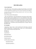 tìm hiểu về MYCOPLASMA