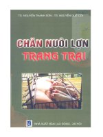 Chăn nuôi trang trại lơn