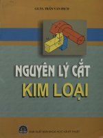 Nguyên lý cắt kim loại  giáo trình dùng cho sinh viên các trường kỹ thuật  trần văn địch pdf