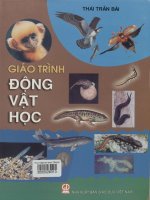 Giáo trình động vật học  thái trần bá pdf