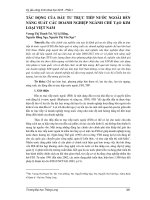 TÁC ĐỘNG CỦA ĐẦU TƯ TRỰC TIẾP NƯỚC NGOÀI ĐẾN NĂNG SUẤT CÁC DOANH NGHIỆP NGÀNH CHẾ TẠO KIM LOẠI VIỆT NAM