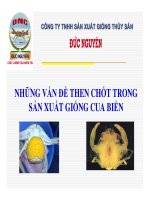 NHỮNG VẤN ĐỀ THEN CHỐT TRONG SẢN XUẤT GIỐNG CUA BIỂN