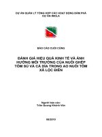 ĐÁNH GIÁ HIỆU QUẢ KINH TẾ VÀ ẢNH HƯỞNG MÔI TRƯỜNG CỦA NUÔI GHÉP TÔM SÚ VÀ CÁ DÌA TRONG AO NUÔI TÔM XÃ LỘC ĐIỀN