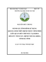 Đánh giá tình hình sử dụng kháng sinh trên bệnh nhân viêm phổi liên quan đến thở máy tại khoa hồi sức tích cực bệnh viện đa khoa tỉnh hà tĩnh 