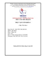 Bài thu hoạch thực tập cuối khóa bậc tiểu học