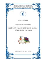Nghiên cứu phản ứng tổng hợp biaryl sự xúc tác đồng