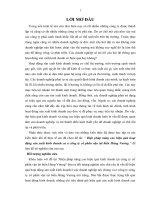 Biện pháp nâng cao hiệu quả hoạt động sản xuất kinh doanh củ a công ty cổ phần vận tải biển hùng vương 