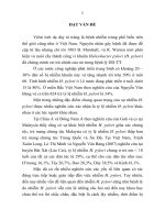 Nghiên cứu đặc điễm dịch tễ học nhiễm helicobacter pylori ở trẻ em vùng tây nguyên, việt nam