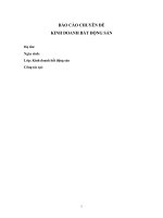 Báo cáo chuyên đề kinh doanh bất động sản