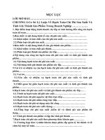 Tổ chức kế toán chi phí sản xuất và tính giá thành ở công ty TNHH tân AN 