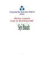 Bài thuyết trình về sợi basalt