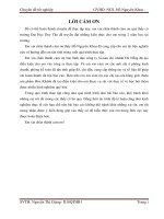 HOÀN THIỆN CÔNG tác QUẢN TRỊ lực LƯỢNG bán HÀNG tại DOANH NGHIỆP