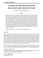 TÁC ĐỘNG CỦA TIẾN TRÌNH GIA NHẬP WTO ĐẾN CÁN CÂN THANH TOÁN CỦA VIỆT NAM