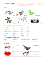 Bài tập Tiếng Anh lớp 3 Lesson 4 sách Let’s learn 3