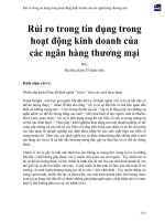 Rủi ro trong tín dụng trong hoạt động kinh doanh của các ngân hàng thương mại