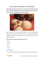 Mẹo tách vỏ dừa khô trong vòng 30 giây