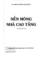 nen mong nha cao tang 4976