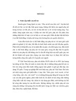 Hoan thien phap luat ve quyen chinh tri cua phu nuo viet nam hien nay