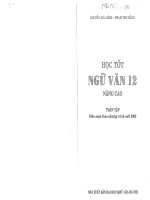 HỌC tốt NGỮ văn lớp 12 NÂNG CAO 