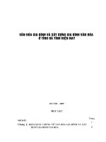 Luận văn Văn hóa gia đình và xây dựng gia đình văn hóa ở tỉnh Hà Tĩnh hiện nay