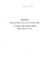 đại cương về gãy xương chi và điều trị chỉnh hình 