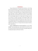 Báo cáo thực tập tại công ty TNHH kiểm toán và kế toán hà nội 