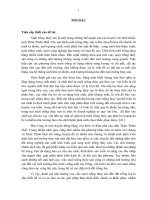 Ảnh hưởng của nuôi trồng thủy sản đến đất trồng lúa tại huyện Phú Vang, tỉnh Thừa Thiên Huế