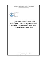 QUY HOẠCH PHÁT TRIỂN VÀ ỨNG DỤNG CÔNG NGHỆ THÔNG TIN TỈNH QUẢNG NINH ĐẾN NĂM 2020, TẦM NHÌN ĐẾN NĂM 2030