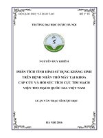 Phân tích tình hình sử dụng kháng sinh trên bệnh nhân thở máy tại khoa cấp cứu và hồi sức tích cực tim mạch viện tim mạch quốc gia việt nam 