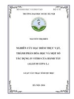 Nghiên cứu đặc điểm thực vật, thành phần hóa học và một số tác dụng in vitro của hành tây ( allium cepa l ) 