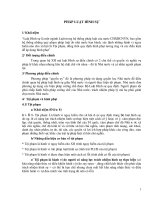 Bài giảng Pháp Luật Hình sự