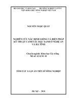 Nghiên cứu xác định giống và biện pháp kỹ thuật canh tác đậu xanh ở Nghệ An và Hà Tĩnh