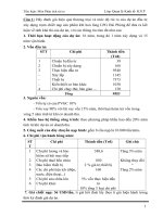 Tiểu luận phân tích rủi ro
