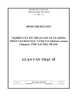 Nghiên cứu kỹ thuật sản xuất giống nhân tạo bào ngư vành tai (haliotis asinina linnaeus, 1758) tại nha trang  đinh thị hải yến; ngô anh tuấn GVHD 