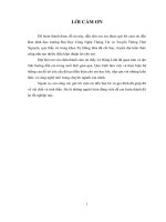 Điều khiển tốc độ động cơ một chiều sử dụng công nghệ PSoC