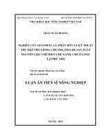 Nghiên cứu giải phẫu lá, phân bón và kỹ thuật thu hái cho giống chè PH8, PH10 để sản xuất nguyên liệu chế biến chè xanh, chè Ô long tại Phú Thọ