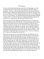 Thế là mùa hạ  Mùa hạ yêu thương