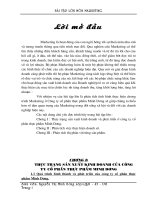 Thực trạng sản xuất kinh doanh và phát triển ở công ty cổ phần thực phẩm minh dương 