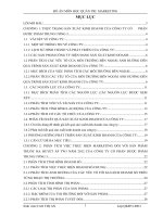 Phân tích việc thực hiện chương trình marketing cho một sản phẩm năm 2012 của CÔNG TY cổ PHẦN được PHẨM TRUNG ƯƠNG 3 